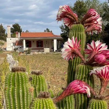 Chalet Casa Stinco *